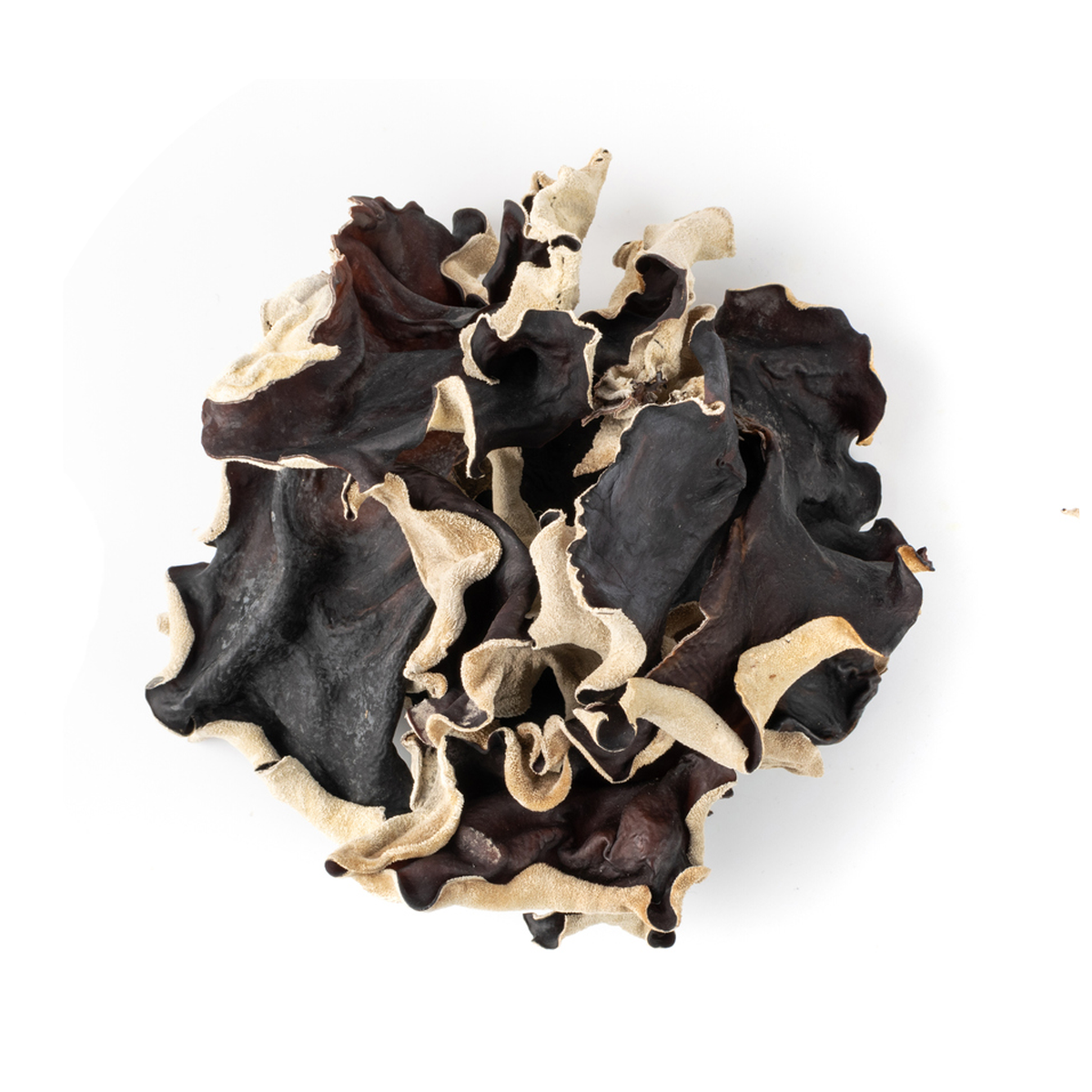 Organic Dried Mushrooms Essential Spice