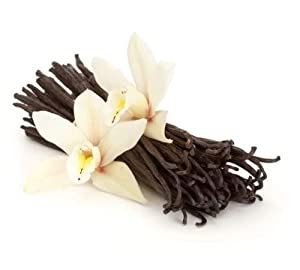 Gourmet Madagascar Bourbon Vanilla Beans 10 Pack