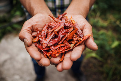 The Story of Smoked Chilies From Mexico