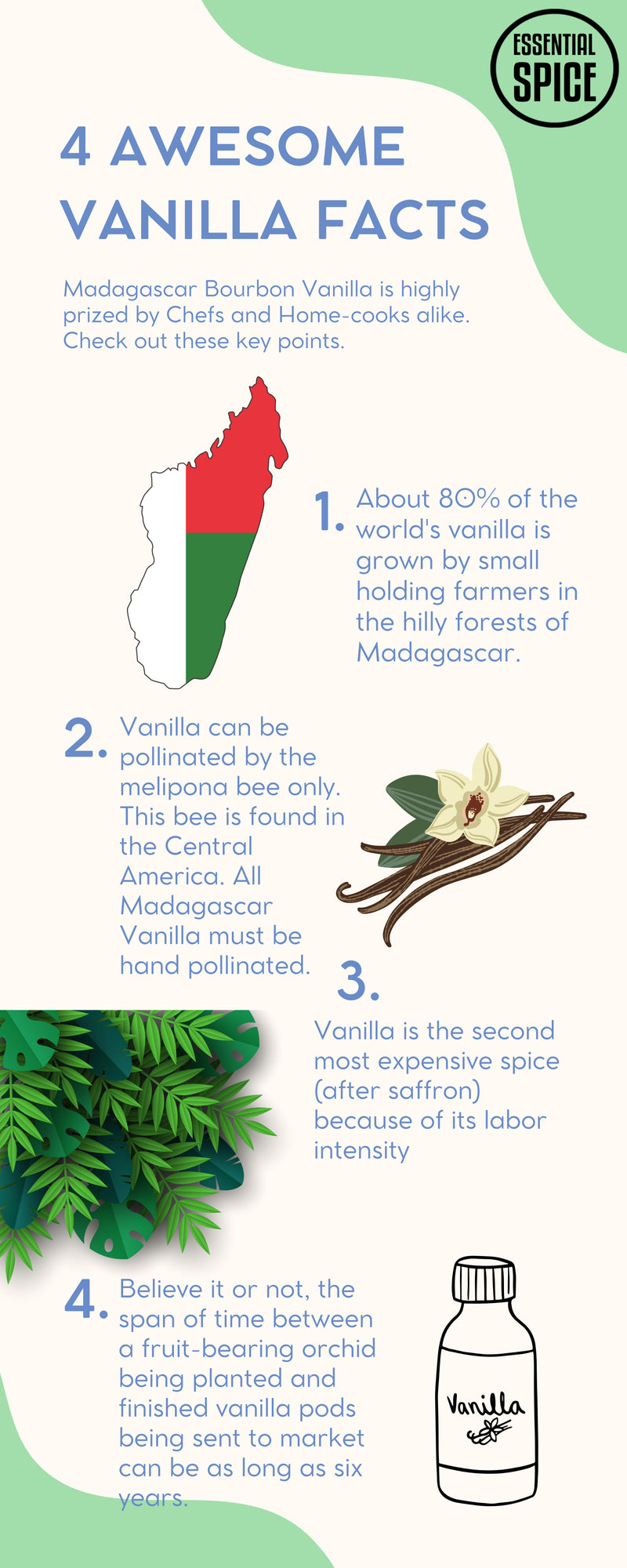 Essential Spice Gourmet Madagascar Bourbon Vanilla Beans - 25 Bean Pack